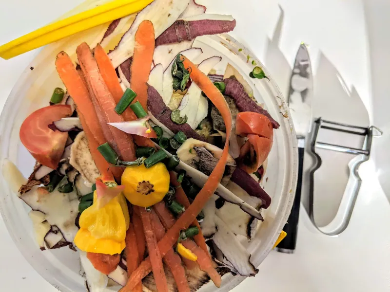 Composting Isn't Always the Hero Move You Think It Is